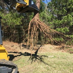 Blue Diamond Skid Steer Tree Puller Attachment